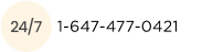 ca.payforessay.net